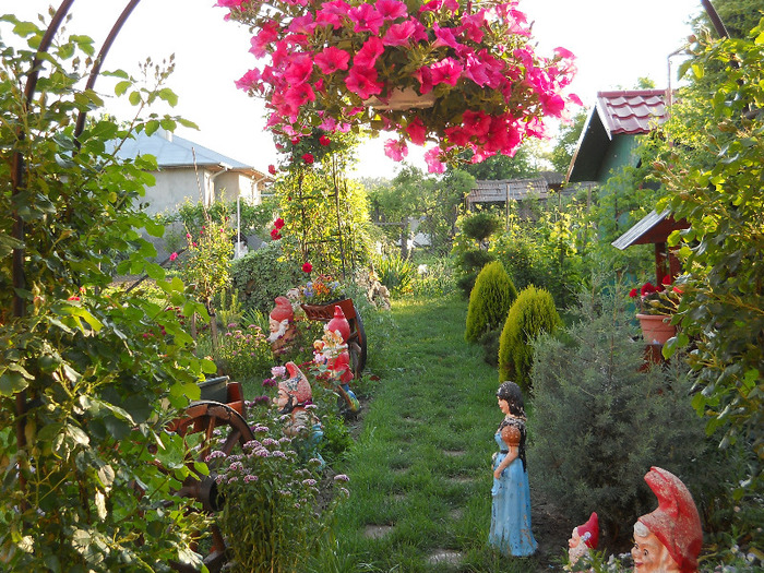 1 524 - GRADINA NOASTRA