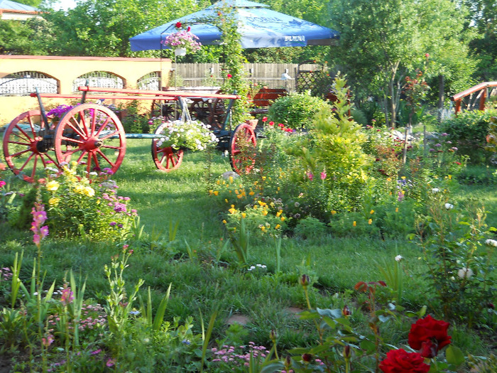 1 525 - GRADINA NOASTRA