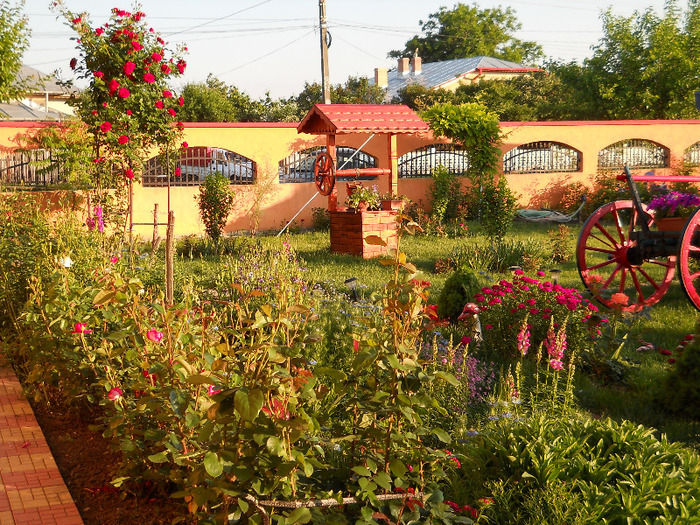 1 526 - GRADINA NOASTRA