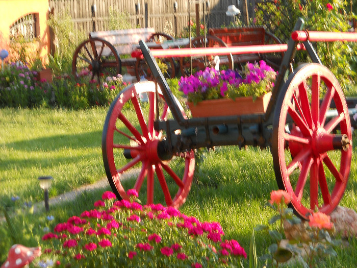 1 529 - GRADINA NOASTRA