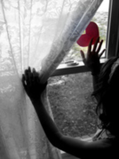 22910419_NFJLPAKQT - TOATE POZELE MELE