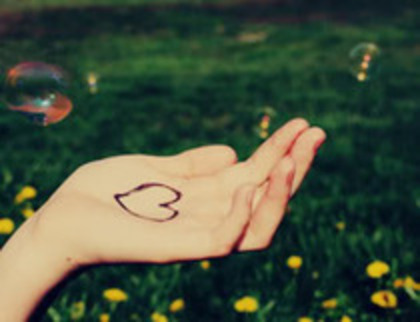 22910693_PQFVRPDQJ - TOATE POZELE MELE