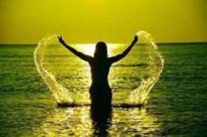 22910843_NEAKIOCFP - TOATE POZELE MELE