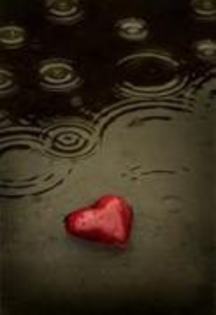 22911042_HGGCHVBEV - TOATE POZELE MELE