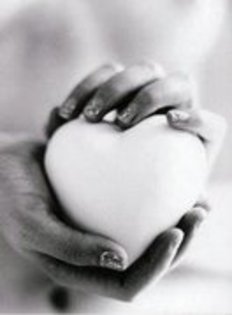 15749554_FJUOOBZNZ - TOATE POZELE MELE