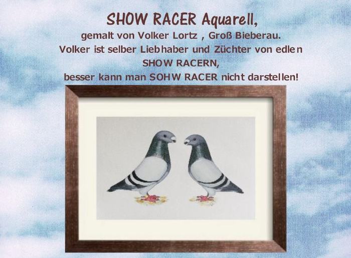 sr-volker--1table100 - AMERICAN SHOW RACER DETALII DESPRE STANDARD