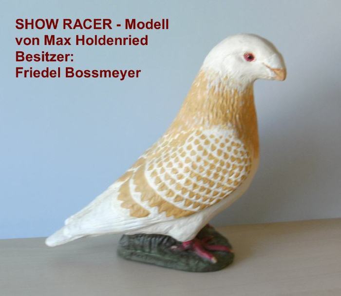 sr-modell-gelbftable100.-geh - AMERICAN SHOW RACER DETALII DESPRE STANDARD