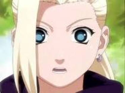 sakura uitate in spate