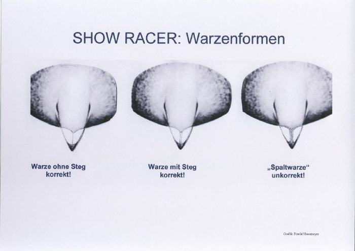 37798640_OQTGZPMUE - 1AMERICAN SCHOW RACER