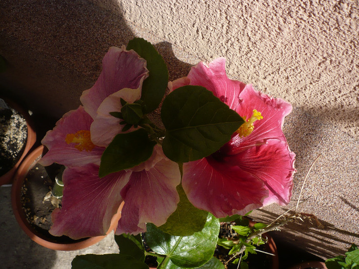 P1070312