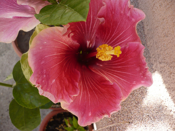 P1070314