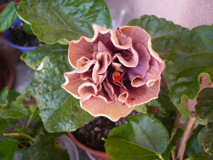 P1070319