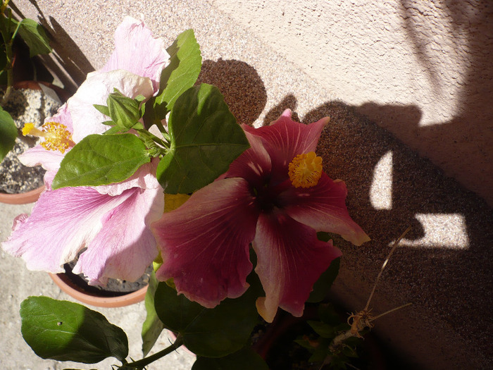P1070372