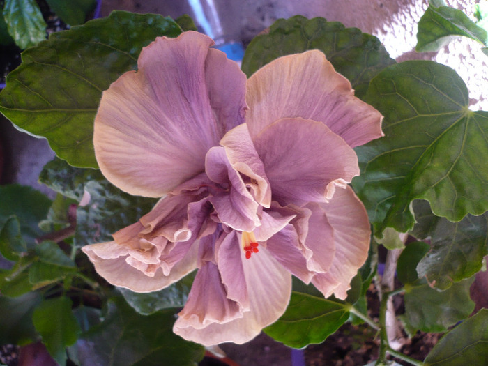P1070376