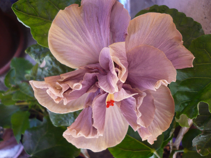 P1070377