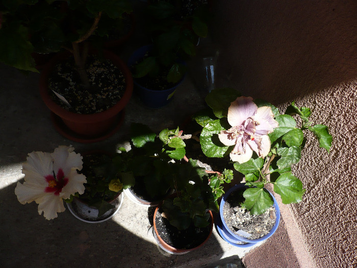 P1070380
