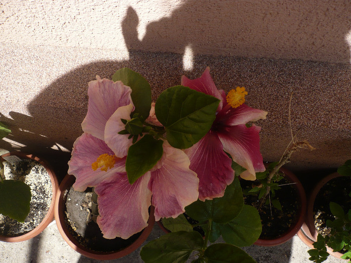 P1070381