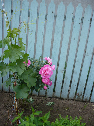 P1070322