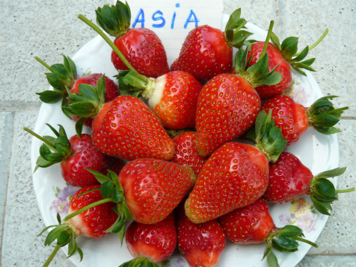 ASIA  ( gust dulce - acrisor - aromat ) - CAPSUNI