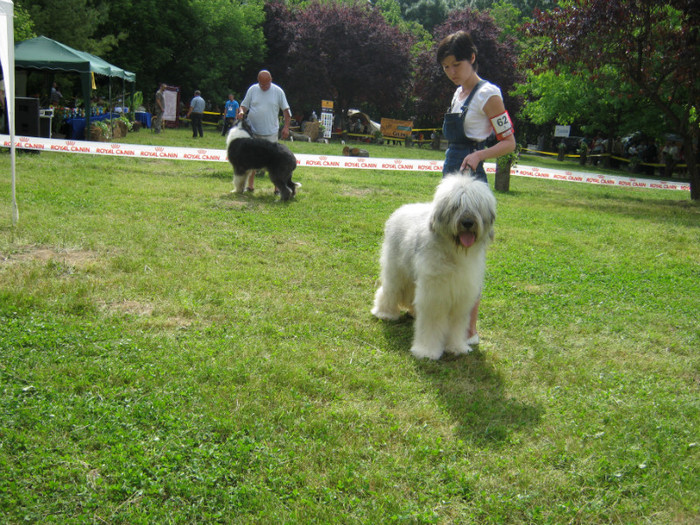 IMG_0297 - CAC PLOIESTI 29-05-2011