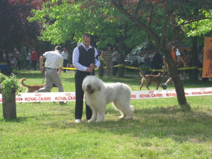 IMG_0298 - CAC PLOIESTI 29-05-2011