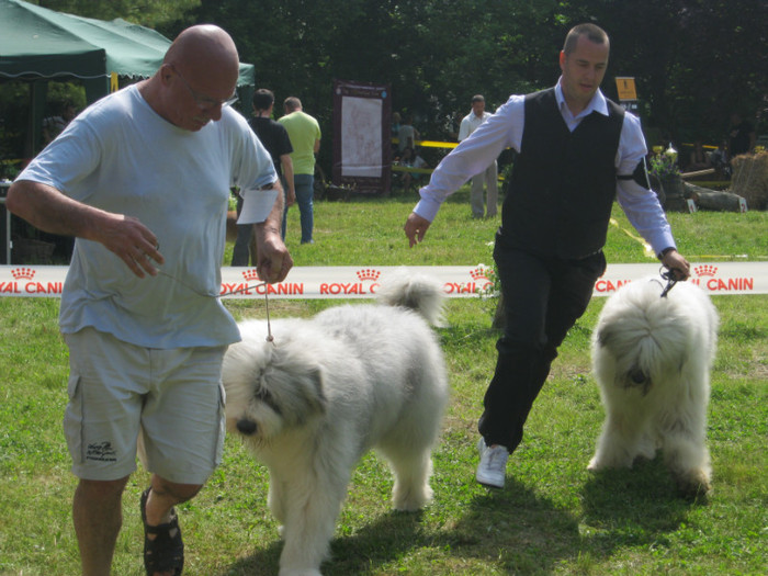 IMG_0301 - CAC PLOIESTI 29-05-2011