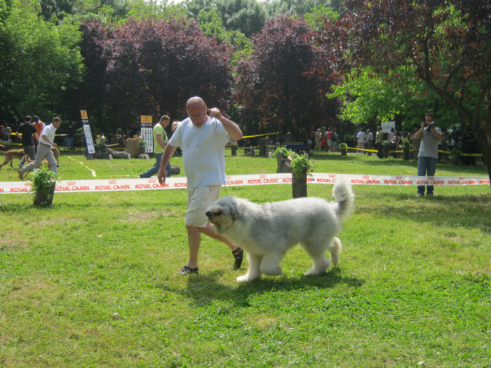 IMG_0302 - CAC PLOIESTI 29-05-2011