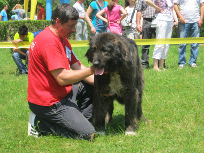 IMG_0360 - CAC PLOIESTI 29-05-2011