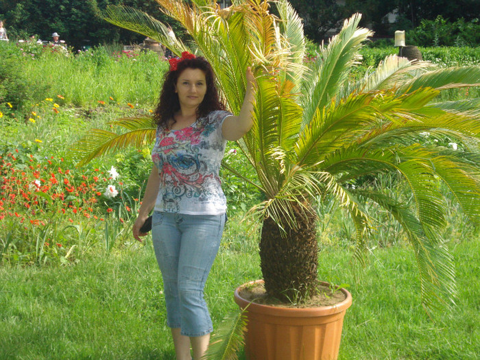 IN FLORIDA:) - EU
