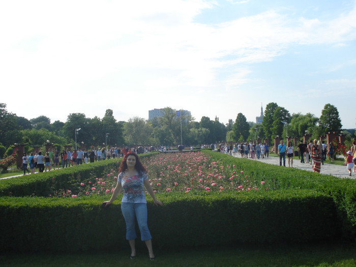 GRADINA MEA DE TRANDAFIRI:))