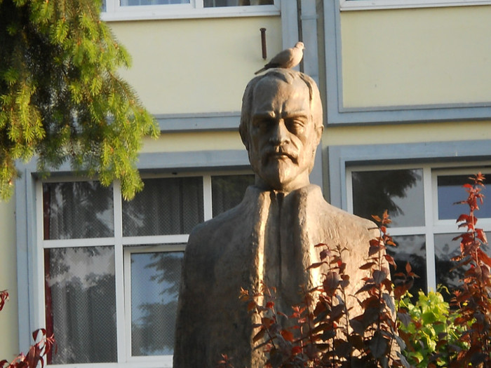 George Cosbuc - Foto din oras