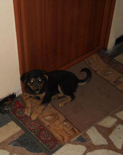 tu de unde-ai aparut