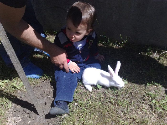 Andrei a primit un iepuras dela Mircea; Am primit un iepuras dela Mircea
