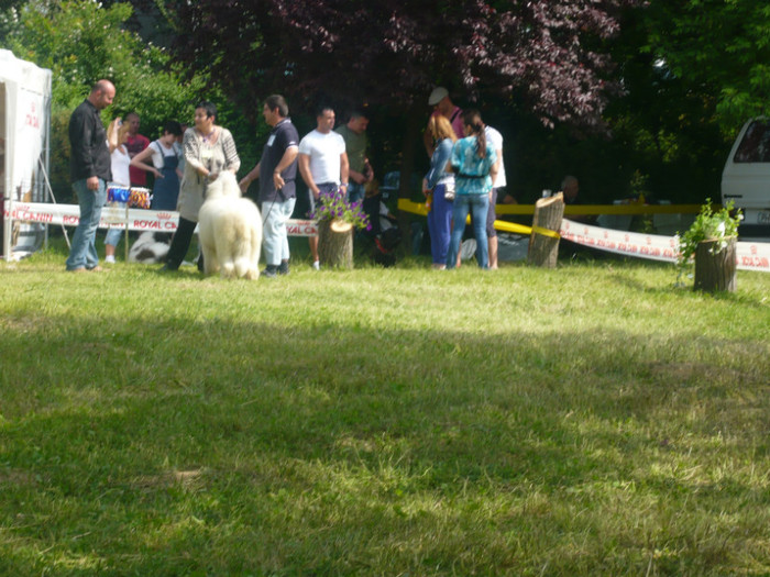 P1000847 - Q  cac ploiesti 29 05 2011