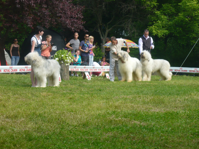 P1000859 - Q  cac ploiesti 29 05 2011