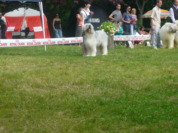 P1000860 - Q  cac ploiesti 29 05 2011