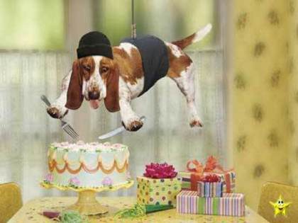 3473 - TOATE POZELE MELE