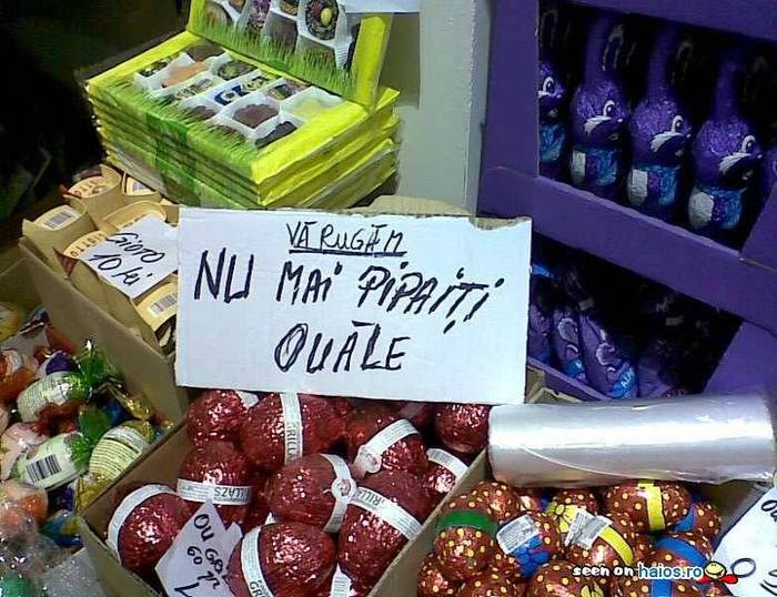 picture2pc - TOATE POZELE MELE