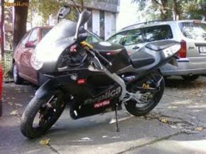 aprilia rs 50-p1