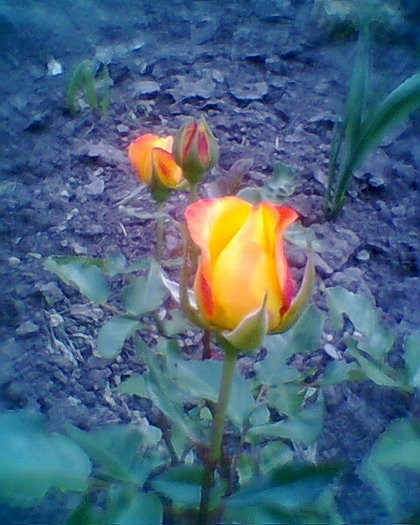 Fotogr.0114