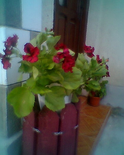Fotogr.0116