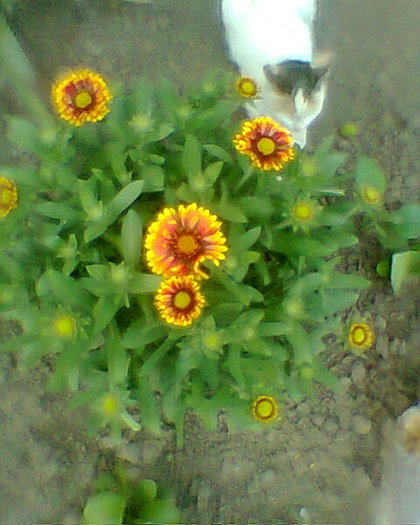 Fotogr.0117