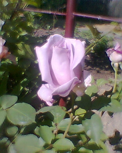 Fotogr.0141