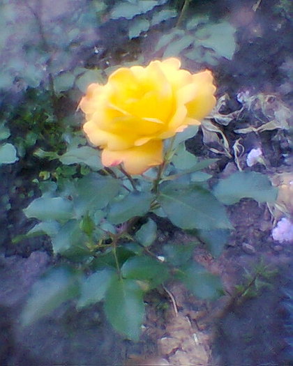 Fotogr.0143
