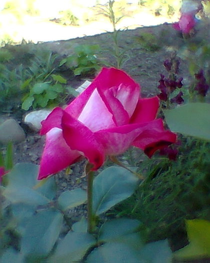 Fotogr.0144