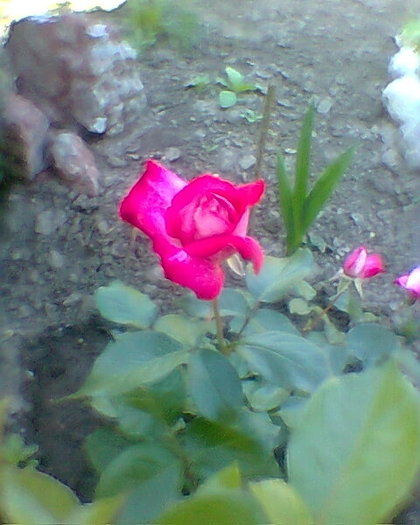Fotogr.0145
