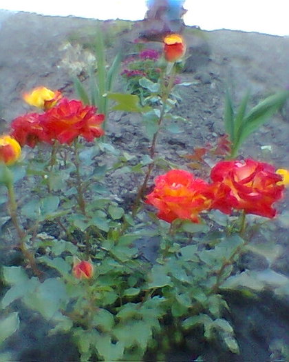 Fotogr.0146