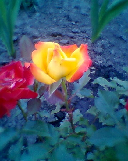 Fotogr.0147