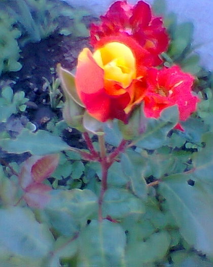 Fotogr.0149