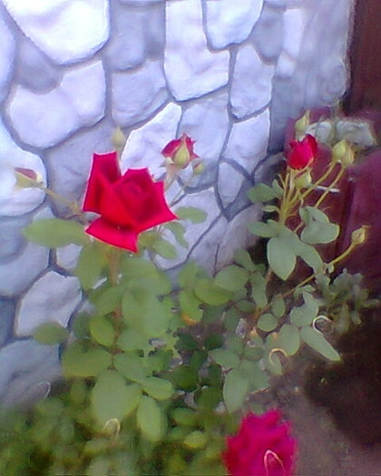 Fotogr.0157